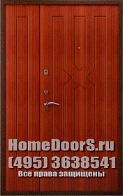 Двустворчатая металлическая дверь "Борнео ДВ" фото