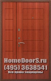 Двустворчатая металлическая дверь "Вероника ДВ" фото