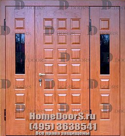Парадная дверь ХД 49 фото